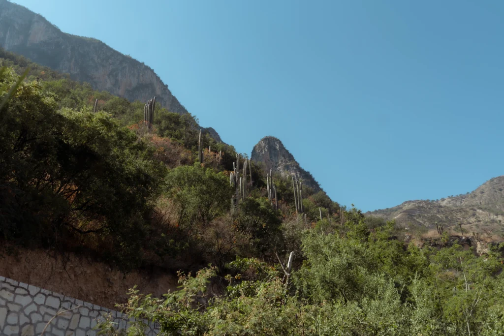 Steep mountainous landscape with tall cacti. Tolantongo is a great day trip from things to do in mexico city attractions.