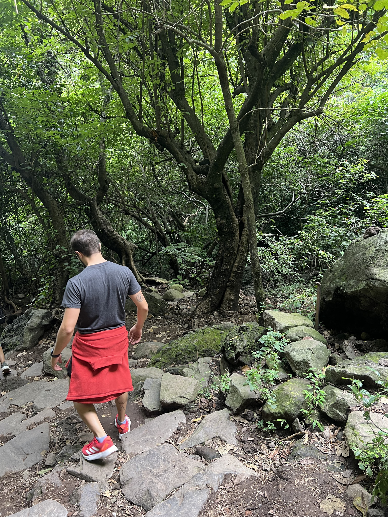Navigating the rocky downhill paths of the Tepozteco mountain, a physical and spiritual journey on Tepoztlan tours.