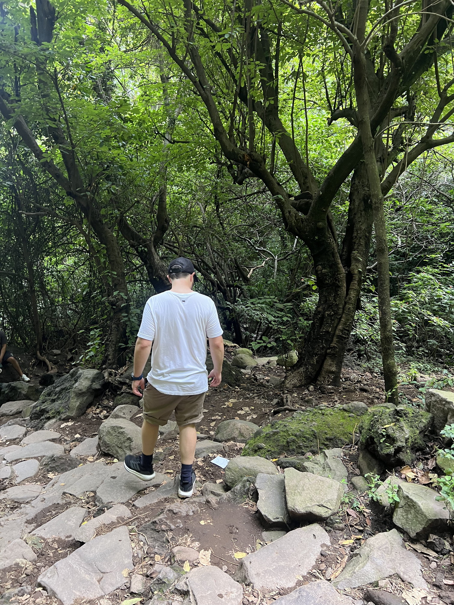 Exploring the dense, green vegetation and rocky terrain of the Morelos highlands during guided Tepoztlan tours.
