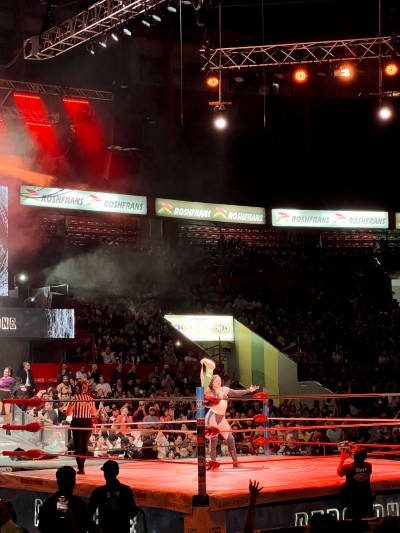 A wrestler celebrates in the ring under red lights; travelers ask how much does it cost to get to the fights for this view.