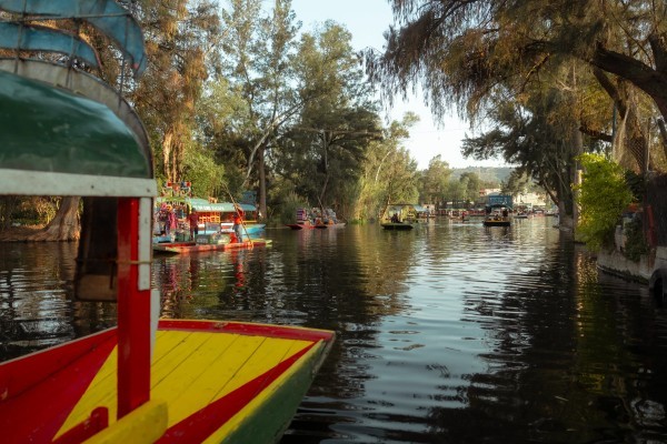 A scenic view of the floating gardens and waterways, a must-see for things to do in Xochimilco’s ecological zone.