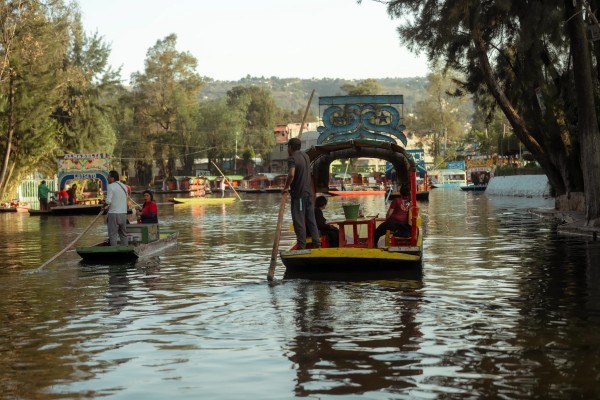 Wooden trajinera boats floating on the ancient canals, one of the best things to do in Xochimilco, Mexico City.