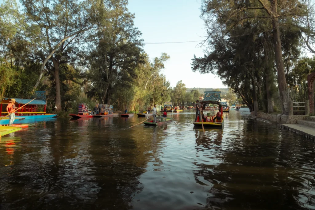 Traditional trajinera boats navigating the water during sunset, among the best things to do in Xochimilco with family.